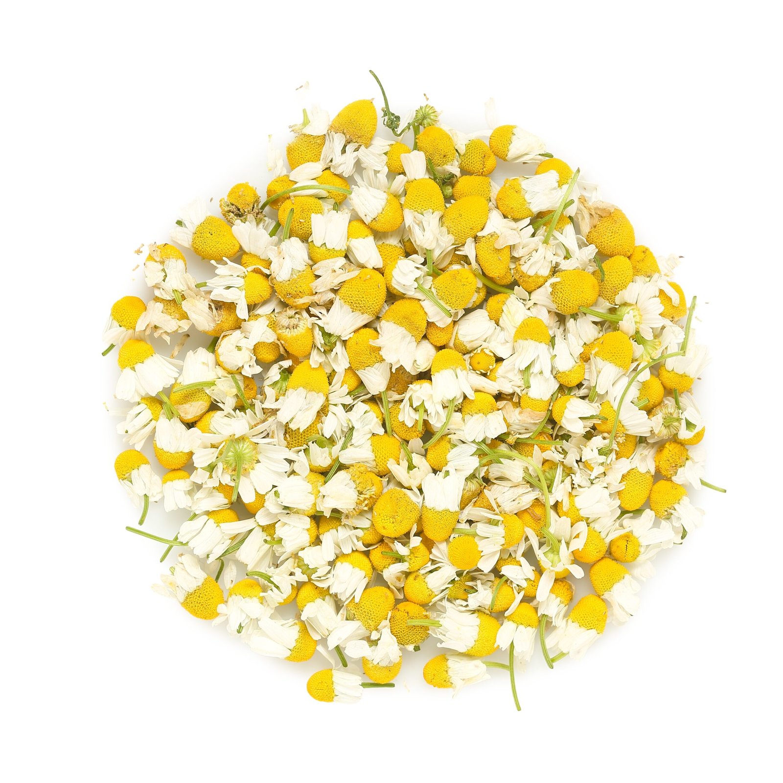 dry,chamomile,flowers,isolated,on,white