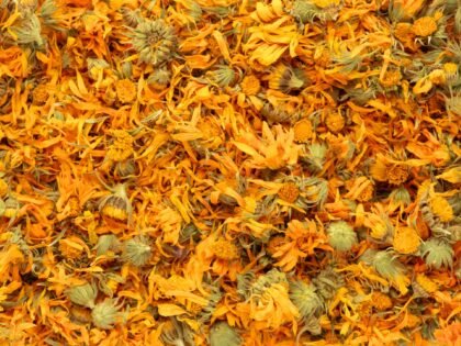 dried,marigold,texture,,flat,lay